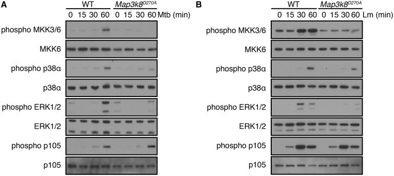 Figure 7.