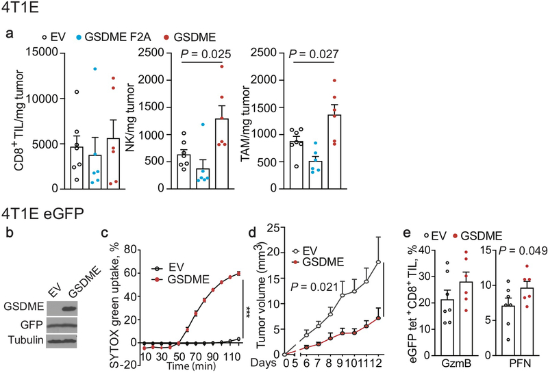 Extended Data Figure 5.