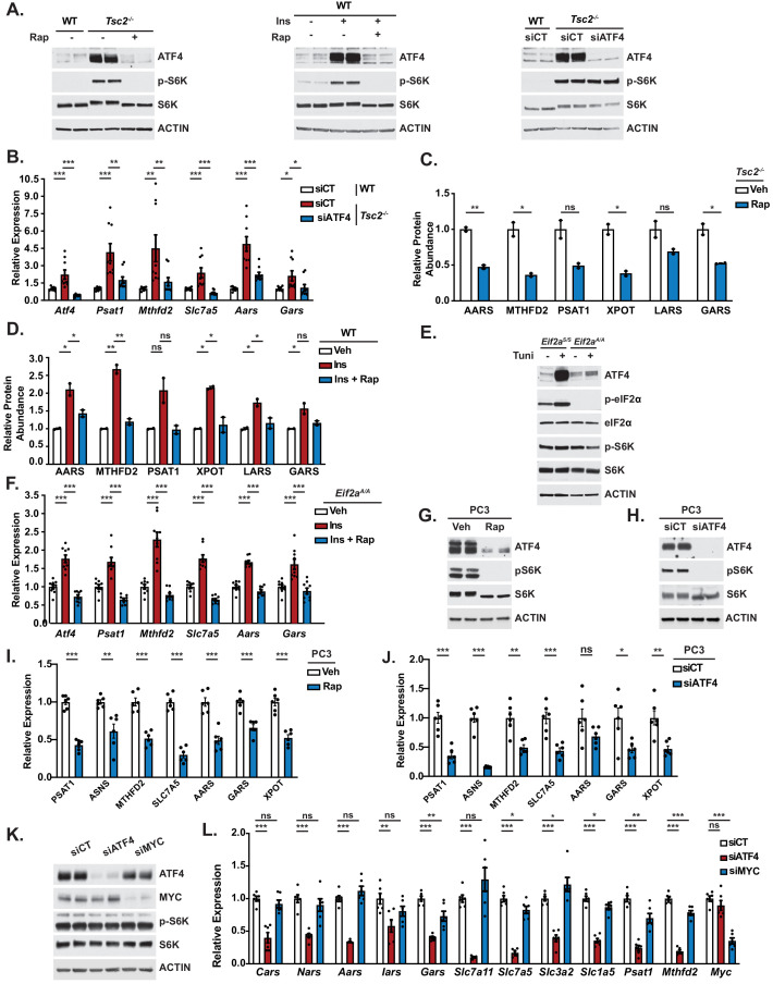 Figure 3—figure supplement 1.