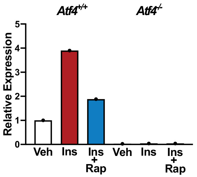 Figure 1—figure supplement 1.