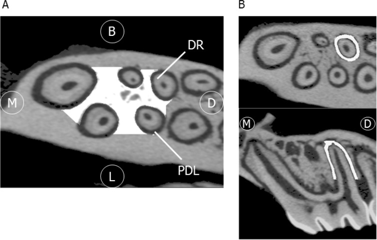 Figure 2.