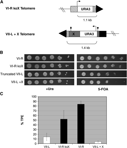 Figure 2.—