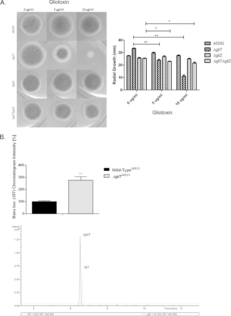 FIG 3