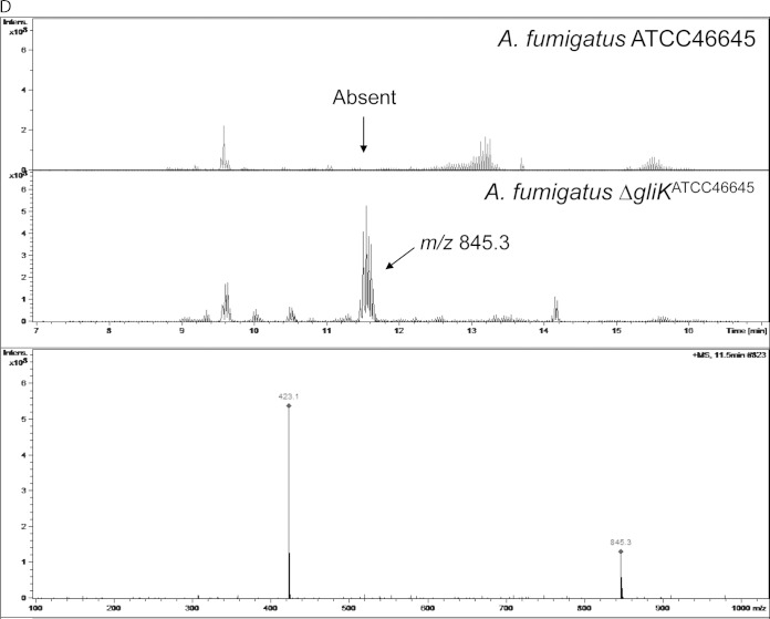 FIG 5