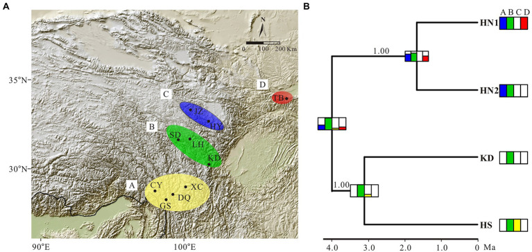 Figure 5