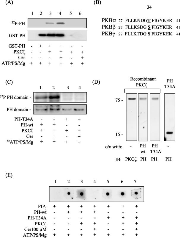 FIG. 6.