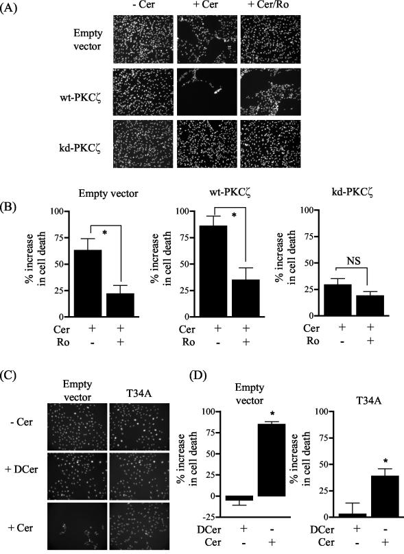 FIG. 8.