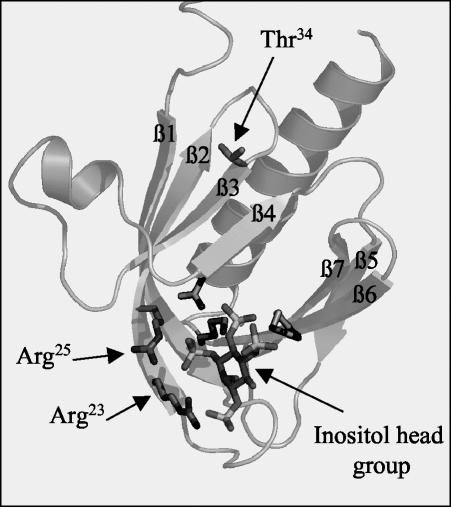 FIG. 9.