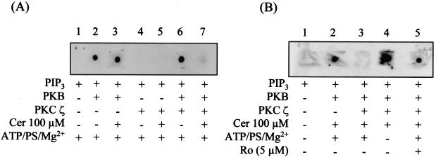 FIG. 5.