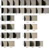 Figure 6—figure supplement 1.