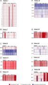 Figure 2—figure supplement 1.