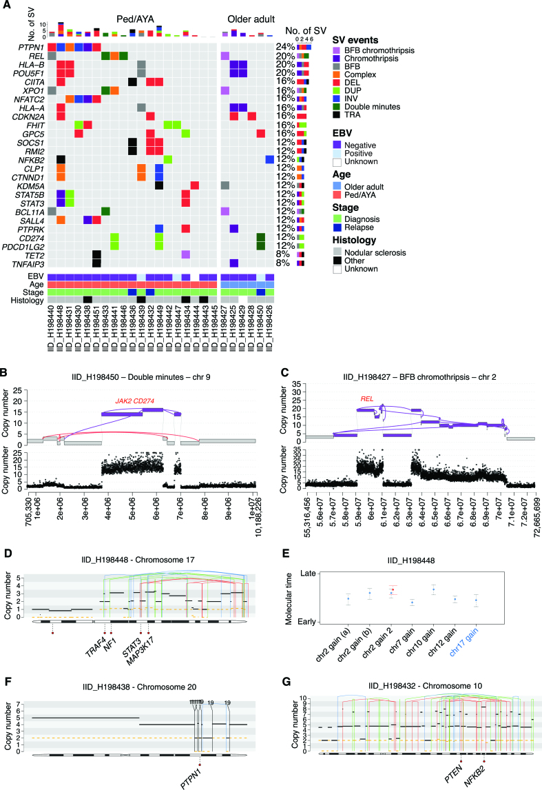 Figure 5. SV and complex event in cHL. A, Oncoplot showing cHL driver genes involved by SV and complex events. B and C, Example of complex events involving key cHL drivers. D and E, Example of chromothripsis event in which it was possible to estimate the molecular time. Case IID_H198448 had an intrachromosomal chromothripsis event responsible for multiple large/intermediate chromosomal gain on chromosome 17 (E). The molecular time of this event was similar to other gains acquired in the first/earliest-time window (E). Based on this link, we could estimate that the chromothripsis event was acquired together with the other chromosomal gains (WGD). F and G, Examples of two chromothripsis events that occurred before WGD. The two chromothripsis events were each responsible for a multiple copy-number jump from 2:2 to 2:0. In D, F, and G, the black and dashed yellow horizontal line represent the total number copy number and the minor allele, respectively. The blue, red, green, and black vertical lines represent inversion, deletion, tandem duplication, and translocation, respectively. The partner of each translocation is reported on the top of the vertical black line.