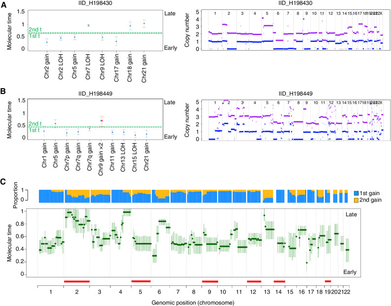 Figure 4. Molecular time and in cHL. A and B, Two examples showing molecular time estimates for two cases with multiple gains. Left, the molecular time (blue dots) was estimated for each clonal gain and copy-neutral LOH with more than 50 clonal SNVs. Red dots represent the molecular time of a second gain occurring on a previous one. The dashed green line divides the two independent time windows in which different chromosomal gains were acquired (first t: first-time window; second t: second-time window. Right, standard copy-number profile of 2 cHL cases. Horizontal purple and blue lines represent the total copy number and minor allele, respectively. C, Median molecular time estimates for chromosomal gains across each chromosome in cHL. Each chromosome was divided into 10-mb bins. Each green dot reflects the median molecular time across different patients with the gained bin. CI were generated using the median of CI molecular time estimate for each bin. Horizontal red line reflects GISTIC large amplifications. The blue/yellow plot represents the distribution of chromosomal gains acquired within either the first- or second-time window for each locus.