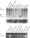 Figure  6