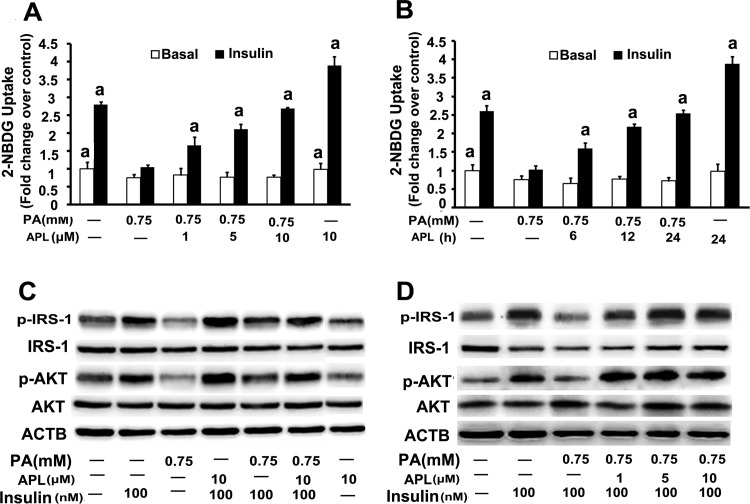 Fig 1