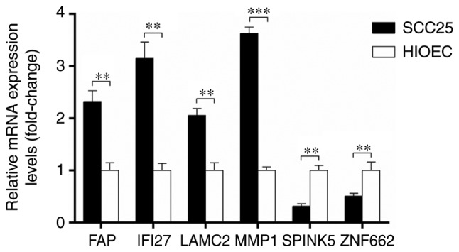 Figure 6.