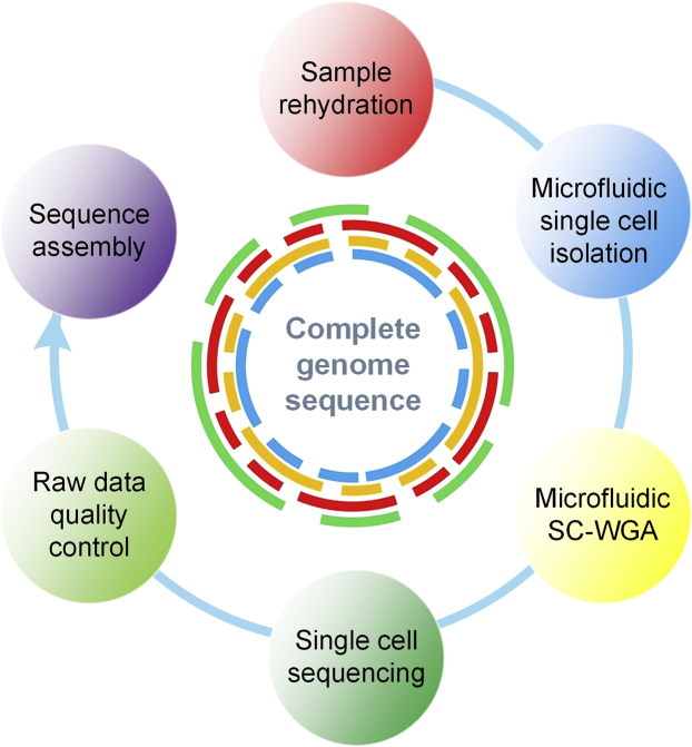 Figure 2