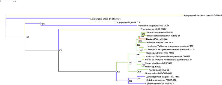 Figure 7