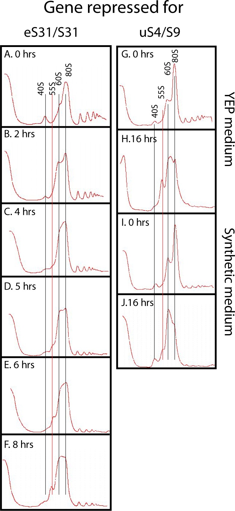 Figure S5.