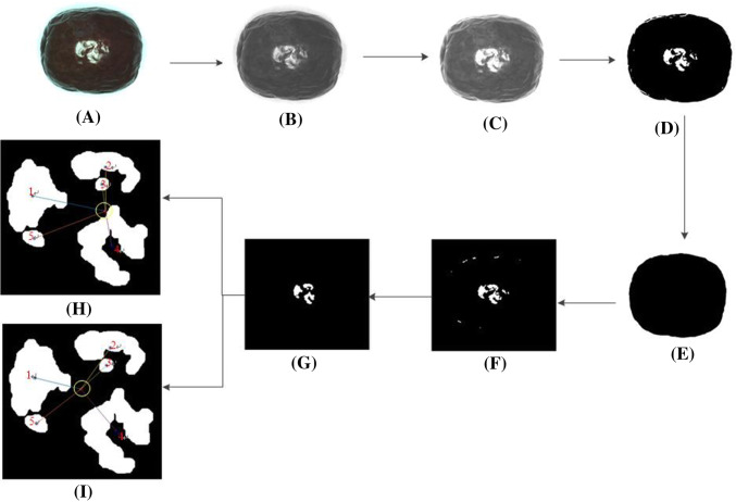 Fig. 2