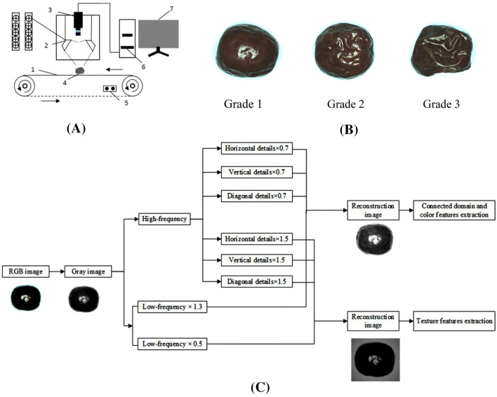 Fig. 1