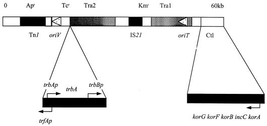 FIG. 1