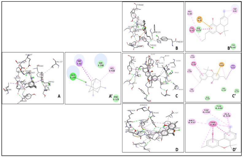 Figure 5