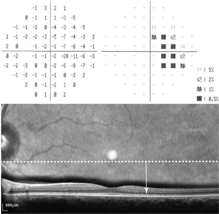 Fig. 8