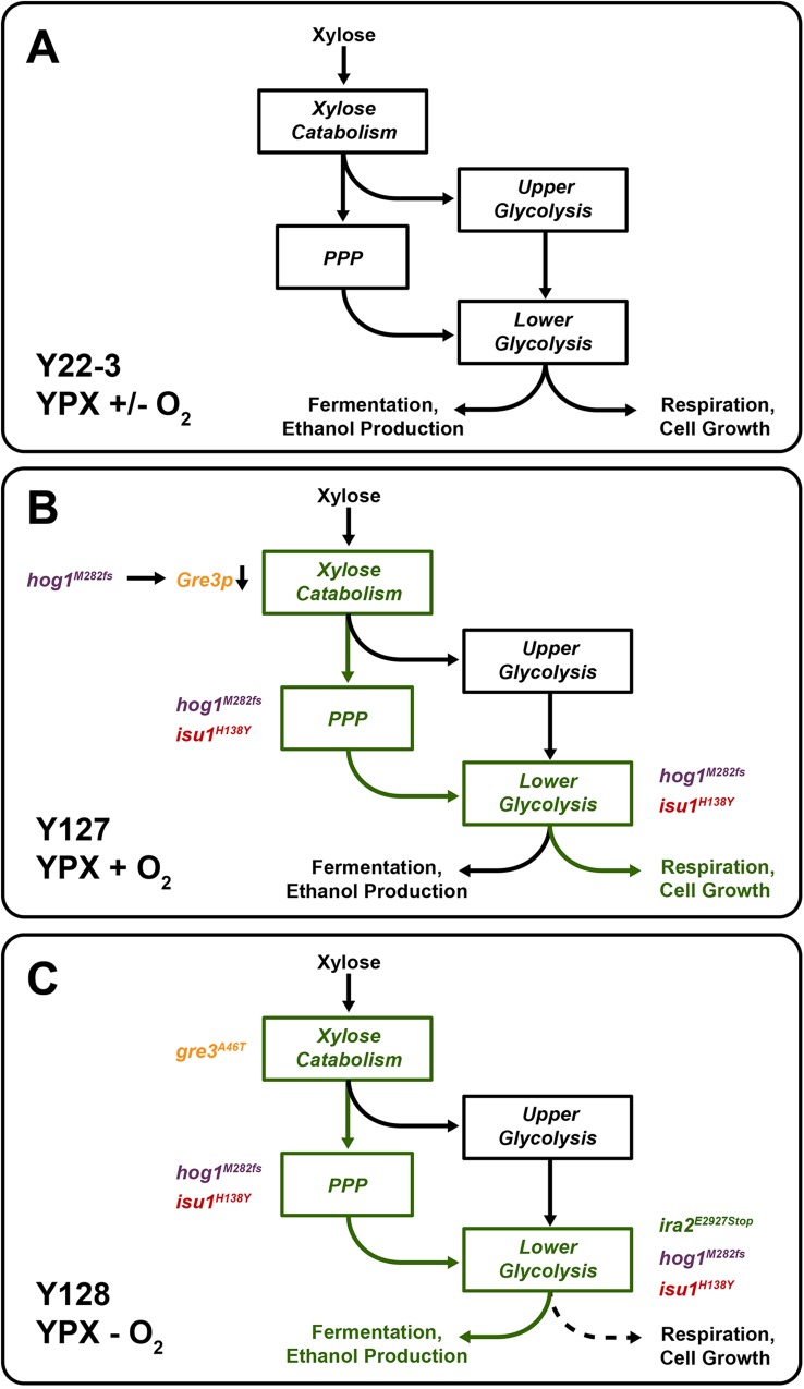 Fig 7