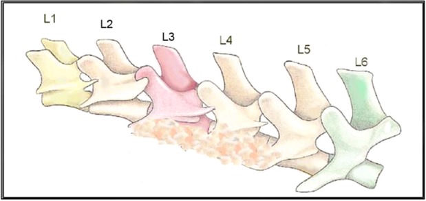 Appendix 1