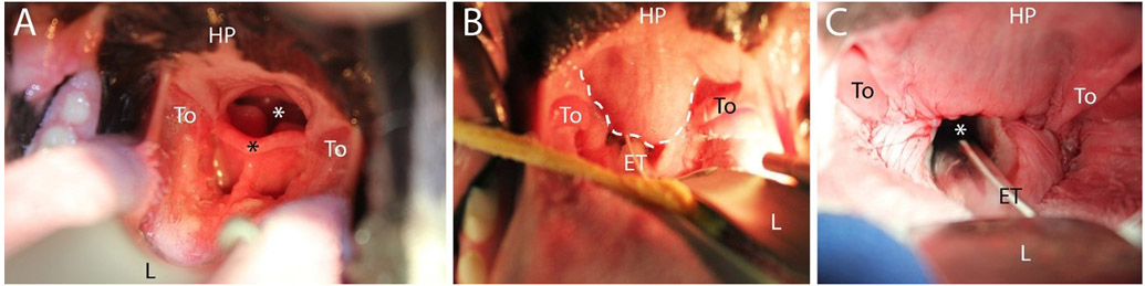 Fig. 3.