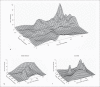 Fig. 3
