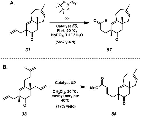 Scheme 10