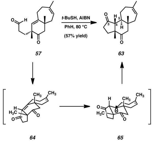 Scheme 15