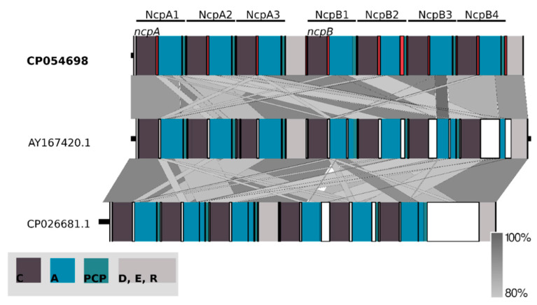 Figure 5