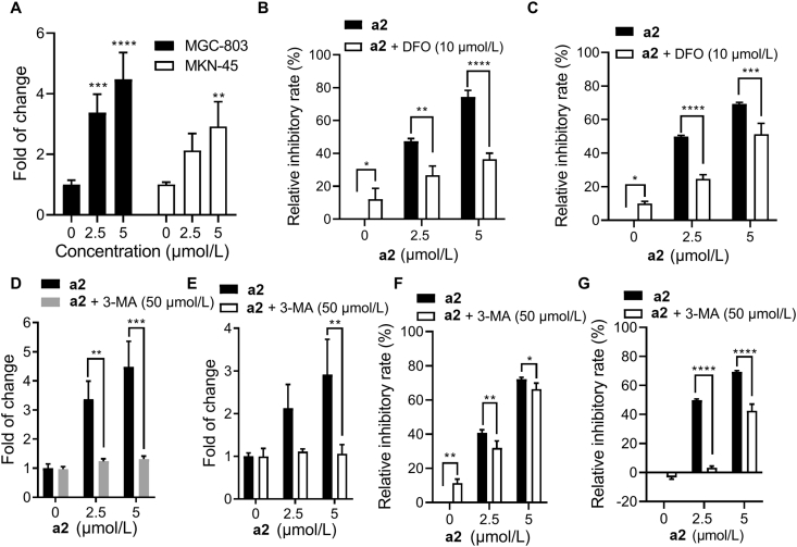 Figure 5