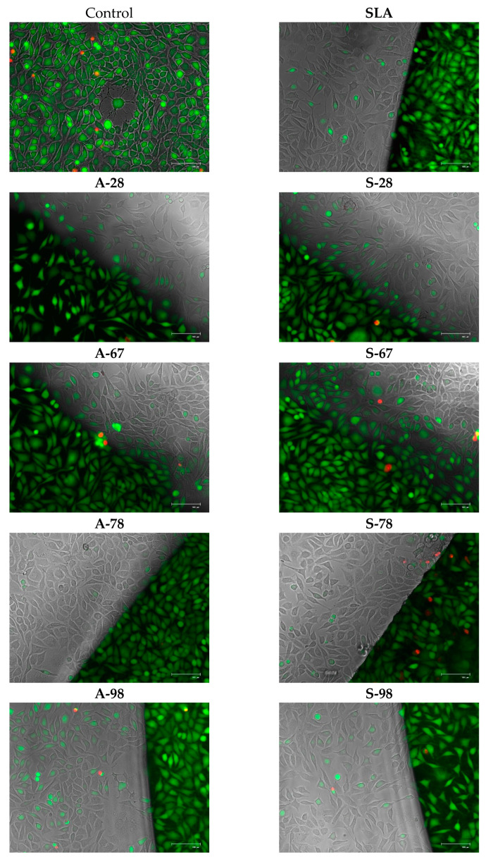 Figure 25