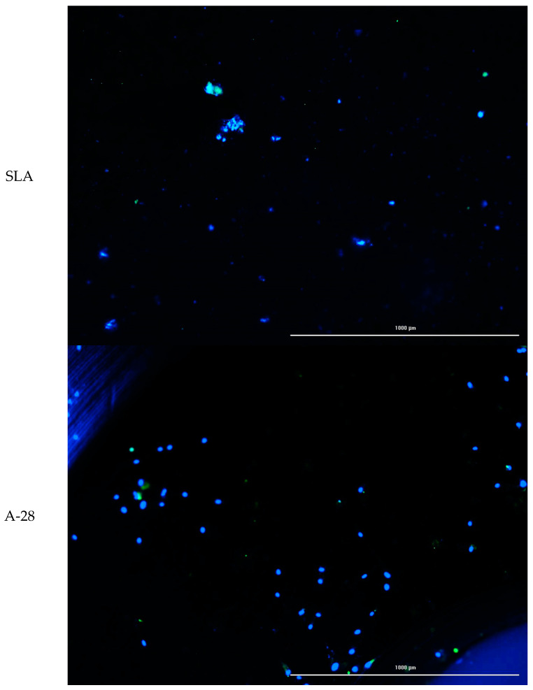 Figure 27