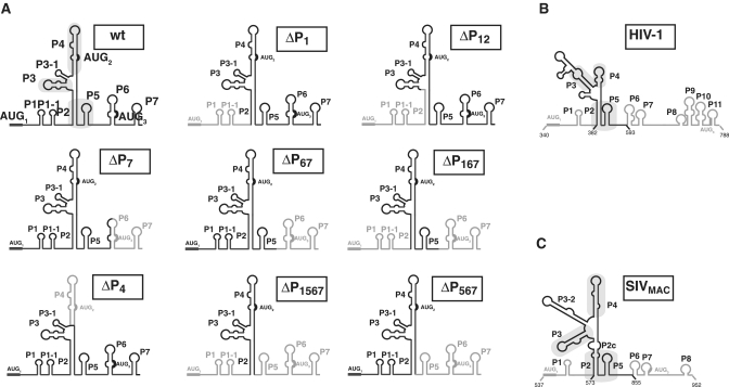 Figure 5.