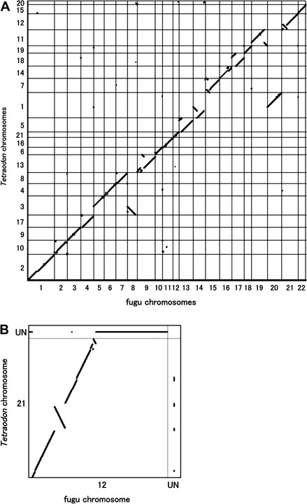 FIG. 5.—