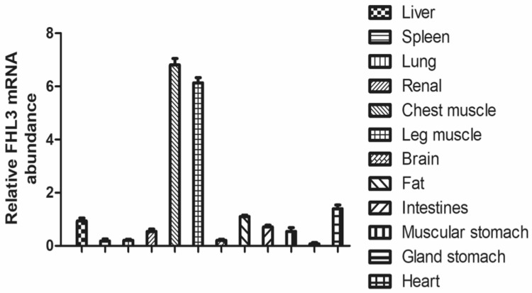 Fig. 1