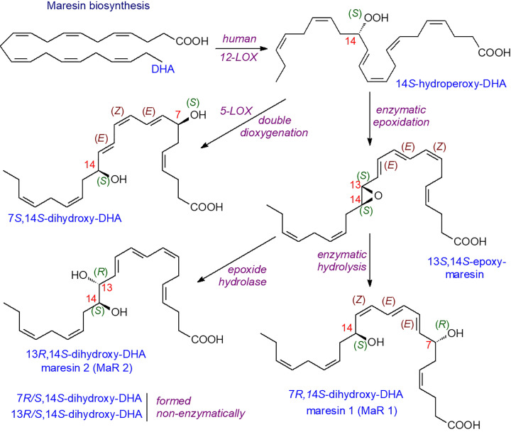 Figure 14