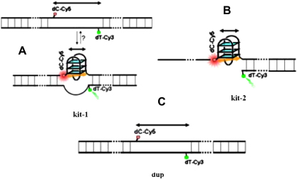 Fig. 9