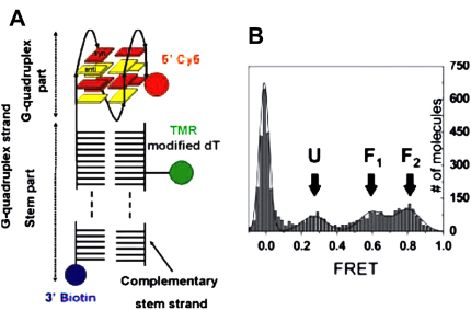 Fig. 4