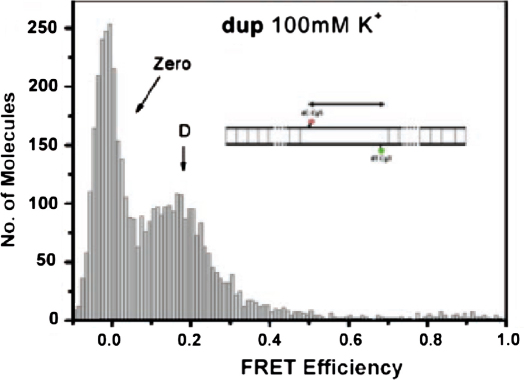 Fig. 11