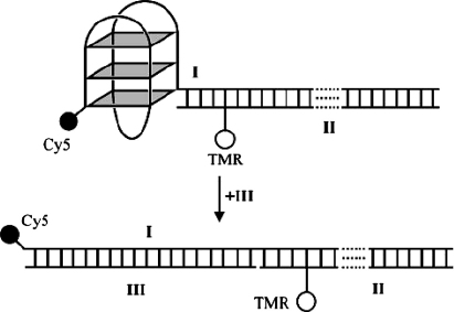 Fig. 2