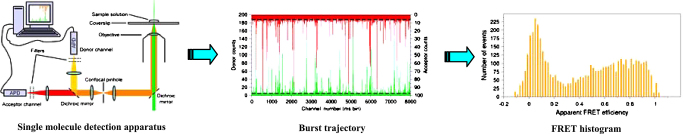 Fig. 1