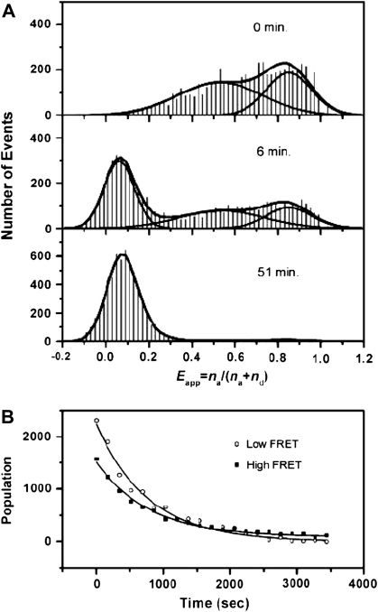 Fig. 5