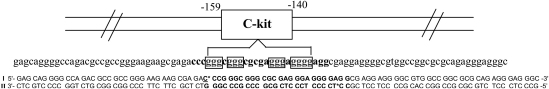 Fig. 8