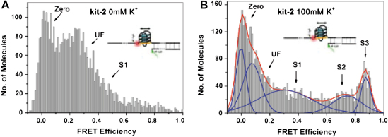 Fig. 12